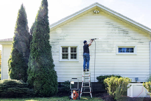 Best Sidewalk and Walkway Cleaning  in Chrisman, IL